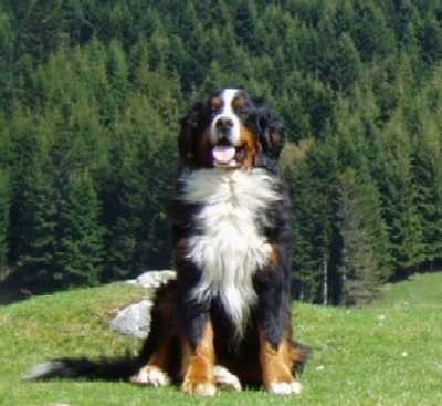 Roméo