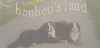 Boubousland