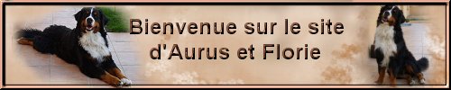 Florie