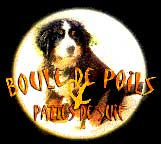 Site de Sô