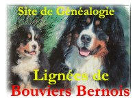 Généalogie