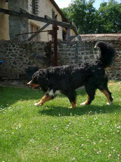 Théo