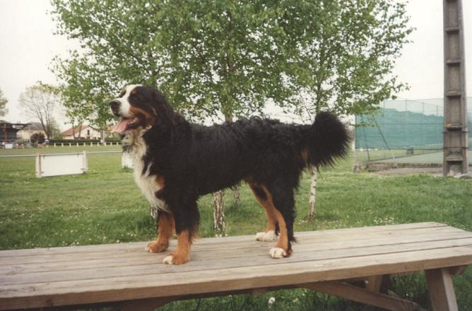 Diego