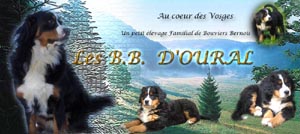 BB d'Oural
