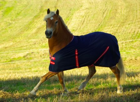 BontonOr1020130005.jpg