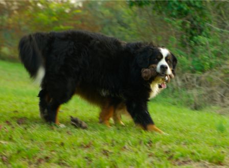 AnnifOurson0013.jpg